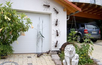 Ameisen (gibt es bis zu 1 m groß) – einzeln, als Ameisenstraße, als Wandlampe - in verschiedenen Oberflächen: Rostpatina, pulverbeschichtet usw.