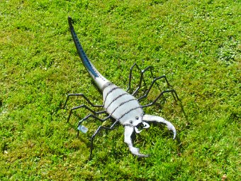 Skorpion (80 cm groß) – auch als Wandlampe - in verschiedenen Oberflächen: Rostpatina, blank pulverbeschichtet, schmiedeeisen Optik usw.